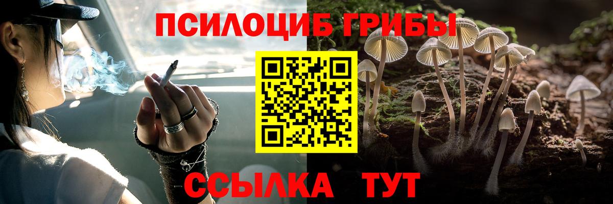 Галлюциногенные грибы прущие грибы  Вход с VPN  Псилоцибиновые грибы GOLDEN TEACHER  Сыктывкар 